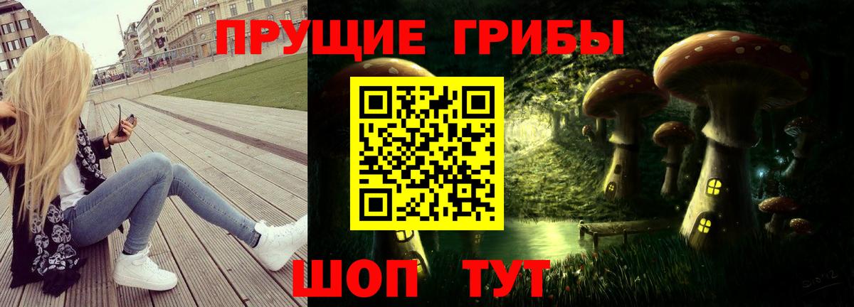 Шебекино  Псилоцибиновые грибы мухоморы  Вход с VPN 