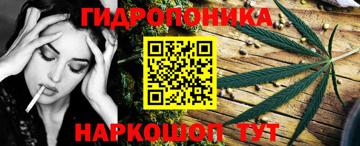 Шишки марихуана Amnesia Шебекино